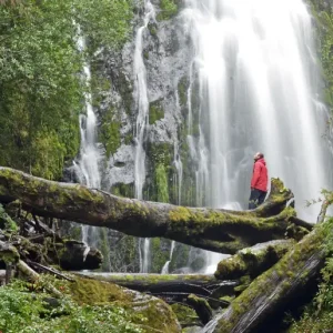 Trekking Parque Nacional Huerquehue