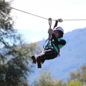 Canopy en Pucón