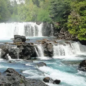 Tour a Huilo Huilo desde Pucón
