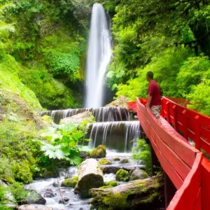 Tour Termas Geométricas desde Pucón